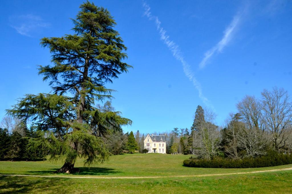Chateau La Thuiliere Saint-Front-de-Pradoux Εξωτερικό φωτογραφία